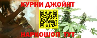 сатива Конаково